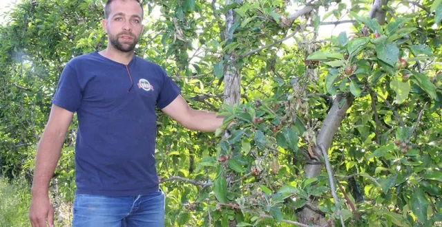 photo  oizé, mardi1er juin 2021. pierre leroy a repris l’entreprise familiale avec son frère simon il y a une dizaine d’années. ce verger sauvage sera un lieu d’expérimentation.  &copy;  le maine libre – isabelle julien 