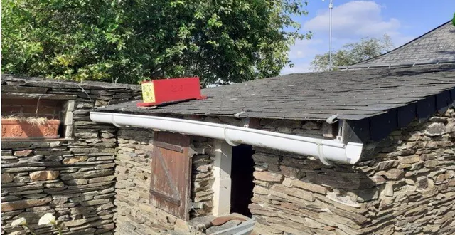 photo  les pièges ont été installés dans des endroits insolites, sur des murets, dans des jardins ou sur des toitures.  &copy;  ouest-france 