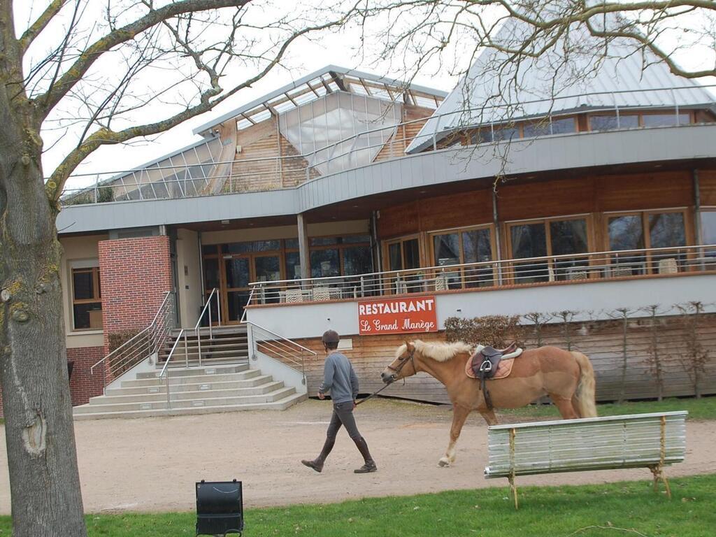 Dans les coulisses du P le international du cheval Longines