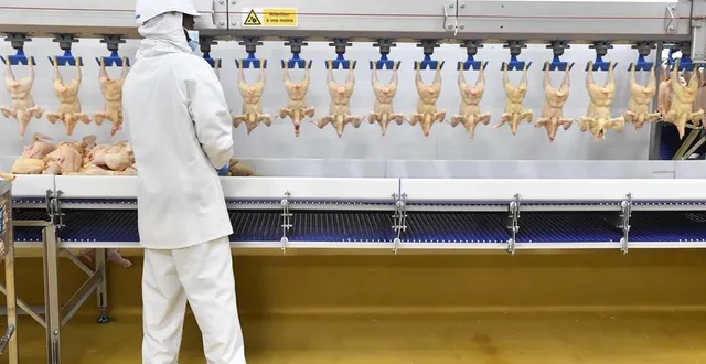 photo  en grande partie automatisés, les process à l’unité saint-laurent nécessitent moins de manutention.  &copy;  thomas bregardis / ouest-france 