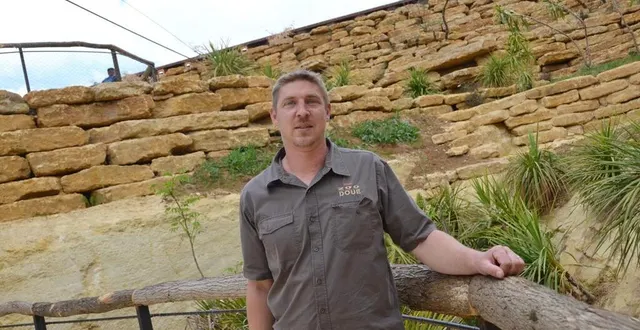 photo  doué-la-fontaine, mercredi 2 juin. cédric vincent, responsable technique du bioparc, a coordonné le chantier de la volière africaine et du cratère des carnivores, en lien étroit avec la carrière de la gouraudière, à thouars.  &copy;  co – carl guillet 