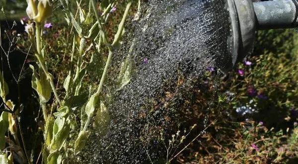 photo  les habitants de plusieurs communes du sud de la sarthe sont invitées à limiter leurs usages de l’eau et dont l’arrosage des espaces verts.  &copy;  le maine libre 