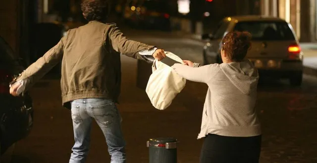 photo  une aiglonne s’était blessée en résistant à la personne qui lui volait son sac. photo d’illustration.  &copy;  thomas bregardis / ouest-france 