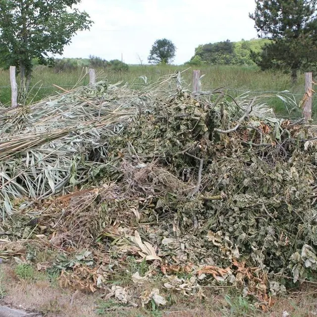 photo cette collecte d’une semaine est en instance de départ pour le zoo.  ©  le maine libre