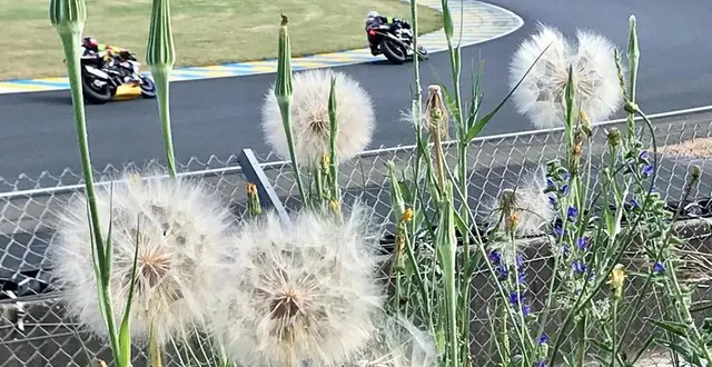 photo  ambiance, 24 heures motos 2021 au mans.  &copy;  ouest-france 