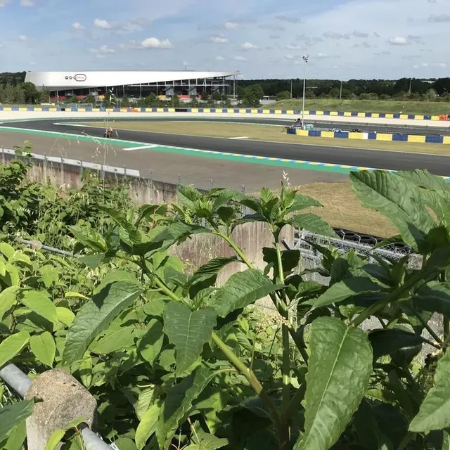 photo la verdure avec le mmarena en fond.  ©  ouest-france