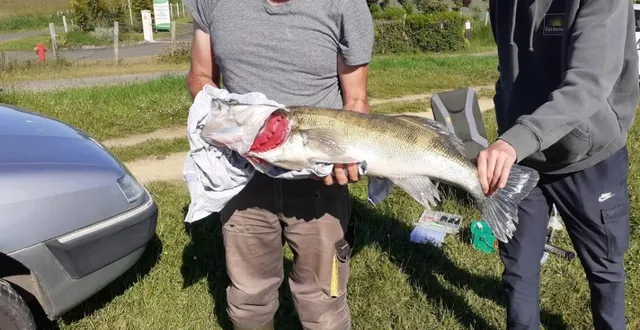 photo  le sandre a été pêché dans le plan d’eau.  &copy;  jean-pierre élie 