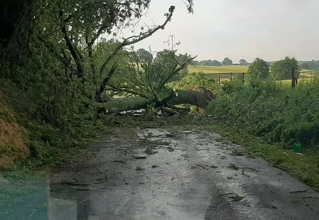 photo un arbre couché sur la route à degré, en sarthe, suite à l'orage qui a eu lieu dans la nuit de mercredi 16 à jeudi 17 juin  2021.  ©  dr