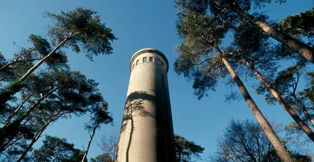 photo  stands et exposition sont prévus au pied du belvédère dimanche 27 juin 2021.  &copy;  le maine libre 