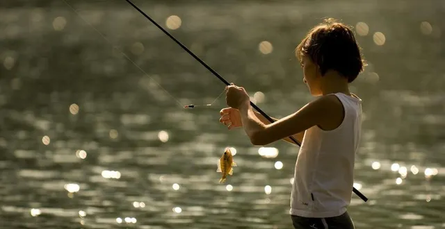 photo  cet été et à la toussaint, les jeunes pourront venir s’initier à différentes techniques aux rouanneraies.  &copy;  photo fnpf l. madelon 