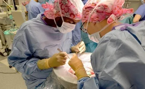 photo  ce mardi 22 juin, c’est la journée nationale du don d’organes. greffes de foie, de peau ou de cœur peuvent sauver des vies.  &copy;  archives 