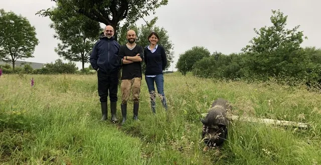 photo  l’artiste harry holtzman, joseph wenger de la ferme de la berouette et silvia mendoza, de la scène nationale 61, présenteront ce samedi 26 juin 2021 une déambulation artistique dans les vergers de la ferme.  &copy;  ouest-france 