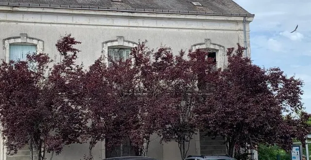 photo  l’ancienne gare au coeur des débats du conseil municipal.  &copy;  ouest-france 