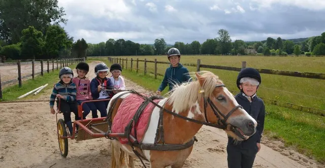 photo  chaque vendredi matin, les enfants se rendent au haras de la chéchinière.  &copy;  ouest-france 