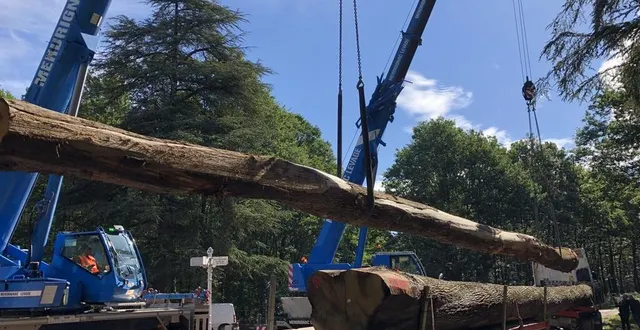 photo  le départ des chênes de bercé vers notre-dame de paris.  &copy;  le maine libre 
