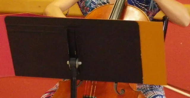 photo  celli maine en concert pour la fête de la musique à l’ehpad.  &copy;  ouest-france 