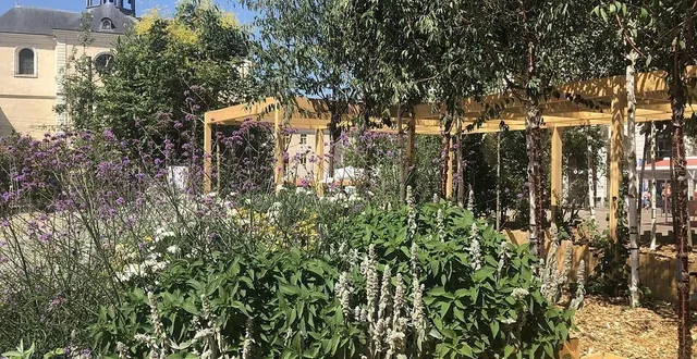 photo  le jardin éphémère, situé place de la république au mans (sarthe), sera de retour pour sa 2e édition, sur une surface de 1 000 m².  &copy;  archives ouest-france 