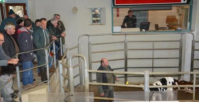 photo  le marché au cadran se déroule un mardi sur deux dans la commune.  &copy;  ouest-france 