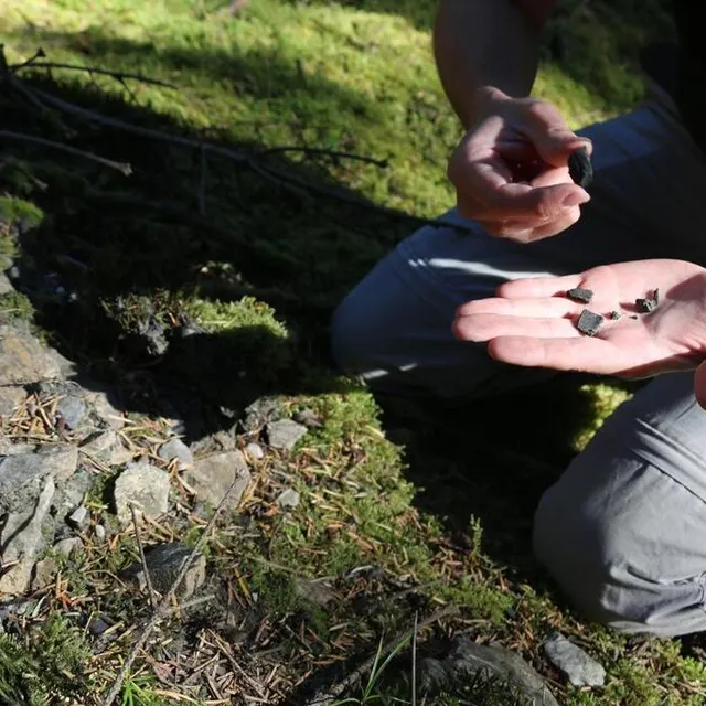 photo la production de charbon, qui s’est poursuivie jusque dans les années 1960, a laissé des traces en forêt d’écouves.  ©  ouest-france
