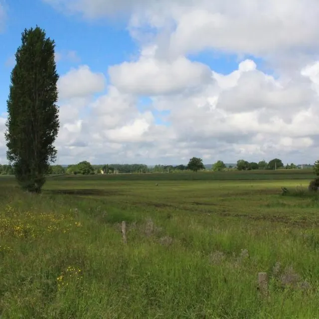 photo dans certains secteurs de la commune, l’arrachage des haies a été important durant les dernières décennies.  ©  isabelle julien – le maine libre