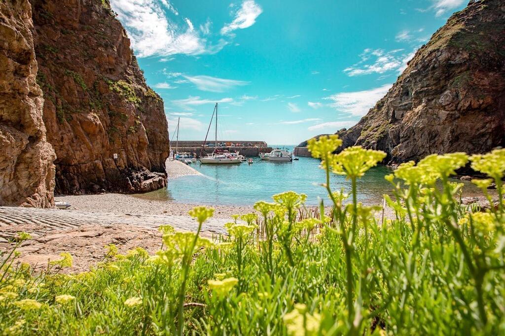Ophef informatie Druif Visiter Jersey, Guernesey et Chausey : belles îles de la Manche -  Redon.maville.com