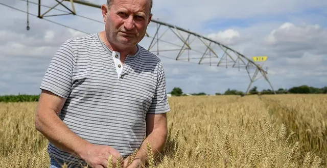 photo  spay, mercredi 7 juillet 2021. après avoir craint le pire avec la sécheresse, dominique rousseau s’est réjoui de voir la pluie arriver. il faudrait maintenant que le temps sec revienne pour que les moissons puissent avoir lieu dans de bonnes conditions.  &copy;  photo le maine libre-yvon loue 