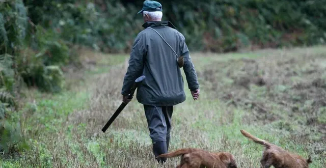photo  les faits concernent une journée de chasse à échauffour en 2019.  &copy;  illustration ouest-france 