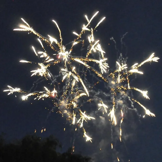 photo une belle variété d’artifices.  ©  le maine libre