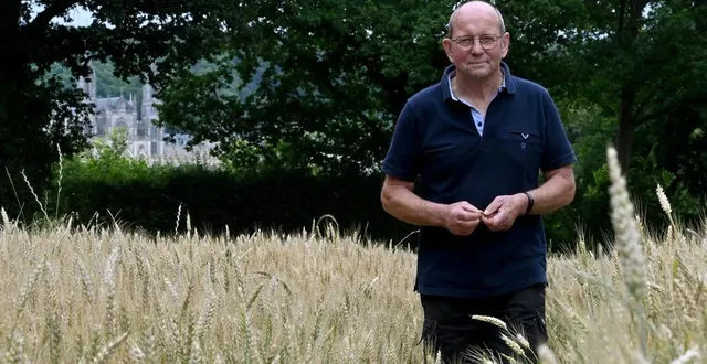 photo  patrick pasquier, céréalier et maire de la chapelle-montligeon, consacre 20 de ses 60 ha de blé à la baguette du perche.  &copy;  stéphane geufroi, ouest-france 