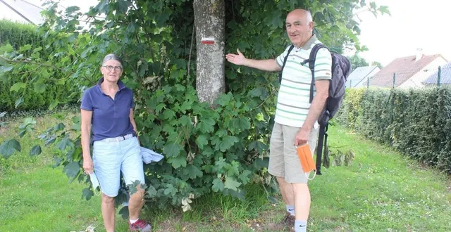 photo  château-du-loir, juillet 2021. danielle et jean-jacques chollet sur le gr 35 passant à château-du-loir.  &copy;  le maine libre 