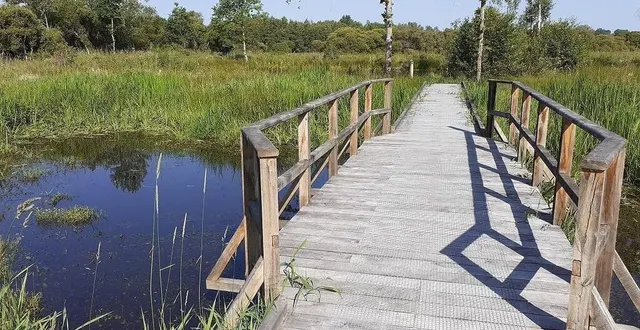 photo  trois nouveaux chemins de promenade voient le jour au marais du grand hazé, à briouze.  &copy;  département de l’orne 