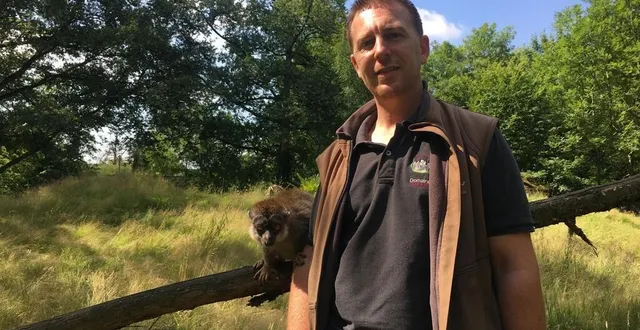 photo  anthony ciréfice, le responsable du parc zoologique, accompagné d’un lémur brun. cette espèce est arrivée à pescheray en février 2000.  &copy;  le maine libre 