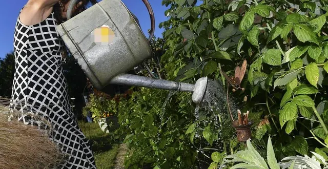 photo  dans le secteur de bazouges, il n’est pas autorisé d’arroser son potager entre 8 h et 20 h.  &copy;  archives le maine libre – hervé petitbon 