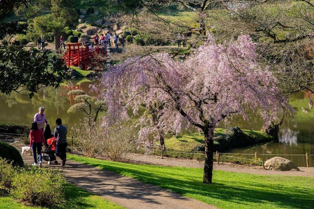 Découvrez le plus grand jardin japonais d'Europe près de Nantes