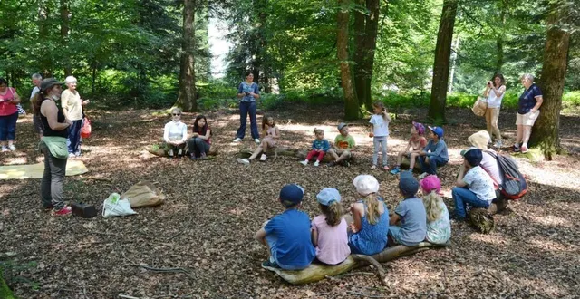 photo  la ronde des sons a permis de prêter attention aux différents bruits qui existent en forêt.  &copy;  ouest-france 