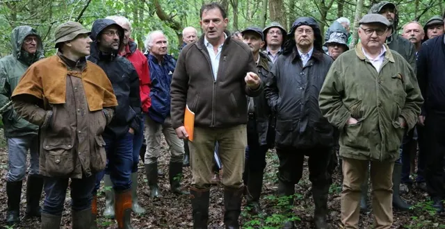photo  c’est dans les bois à proximité de l’angebardière, à teloché, que l’expert forestier franck jacobée a reçu plus d’une cinquantaine de propriétaires forestiers pour les sensibiliser aux interventions sur les jeunes futaies feuillues.  &copy;  le maine libre 