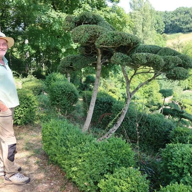 photo le jardinier-poète-sculpteur thierry juge devant son « chouchou » : son buis préféré, « chef-d’œuvre de maîtrise ».  ©  archives le maine libre