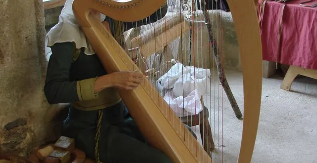 photo  des spectacles au château de saint-mesmin-la-ville.  &copy;  photo : château de saint-mesmin-la-ville. 