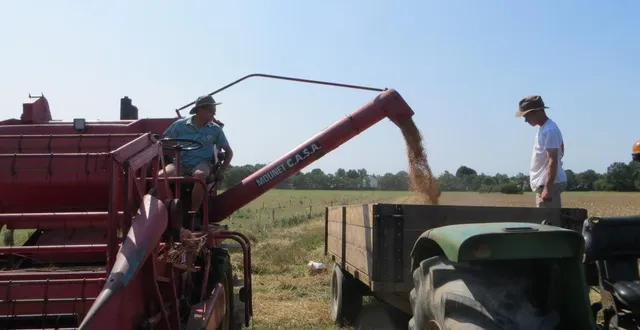 photo  il n’y aura pas la fête de la moisson cet été à valennes.  &copy;  archives ouest-france 