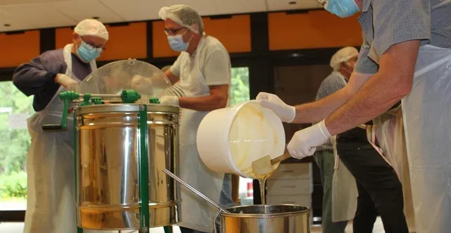 photo  cette année, 80 kilos de miel ont été récoltés.  &copy;  le maine libre 