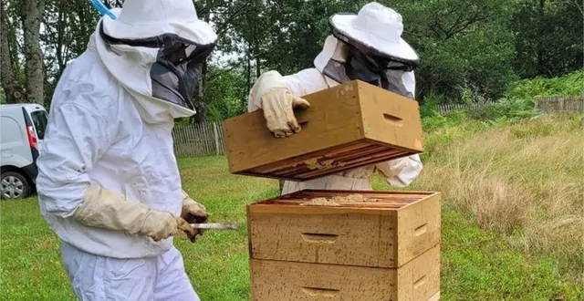 photo  la récolte est plus légère cette année.  &copy;  arche de la nature 