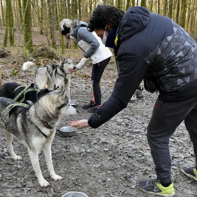 photo axel et pauline récompensent les chiens après la sortie de 7 km.  ©  le maine libre – yvon loue