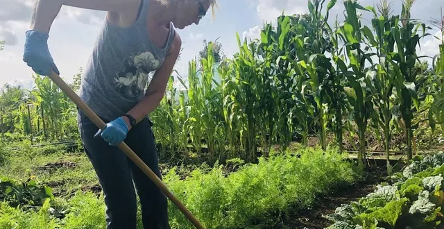 photo  marie continue de s’activer sur sa parcelle, malgré la perte de ses 54 pieds de tomates.  &copy;  le maine libre 