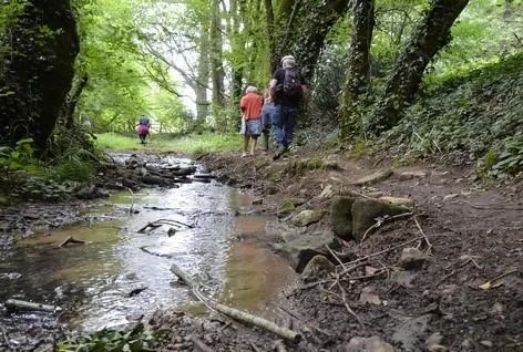 photo  cette balade épousera un circuit en boucle de 5 km.  &copy;  musée du poitou protestant 