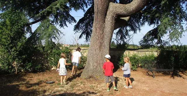 photo  lors d’un atelier, mardi, les enfants seront invités à chercher un trésor dans le jardin du musée henri-barré.  &copy;  ville de thouars 
