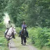 photo les cavaliers apprécient ce domaine qui offre une grande diversité de parcours, s pour découvrir la faune et la flore locale.