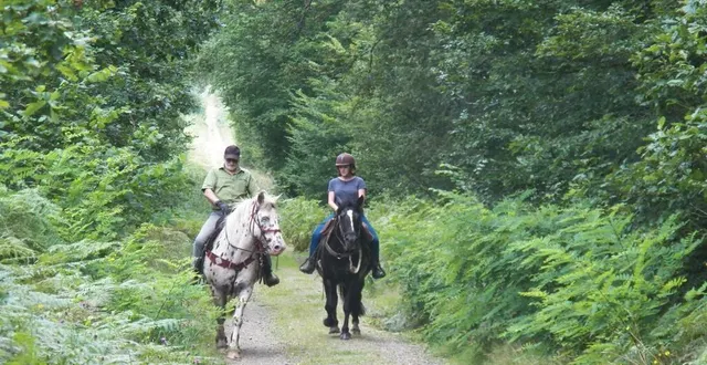 photo  les cavaliers apprécient ce domaine qui offre une grande diversité de parcours, s pour découvrir la faune et la flore locale.  &copy;  le maine libre 