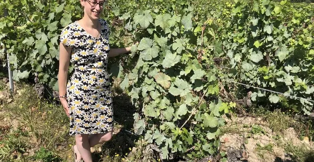 photo  le pire a été évité ?cet été au domaine de cézin à marçon, selon la viticultrice amandine fresneau.  &copy;  photo le maine libre 