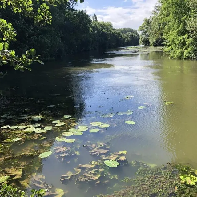 photo rivière non navigable, sans chemin de halage qui la longerait, le loir a un côté presque secret.  ©  ouest-france