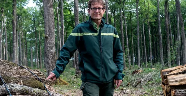 photo  yvan sevrée, technicien forestier de l’office national des forêts, au domaine de la forêt de bercé.  &copy;  lucie weeger, ouest-france 